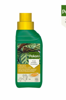 Cumpărați Pokon Green Repairer 250ml