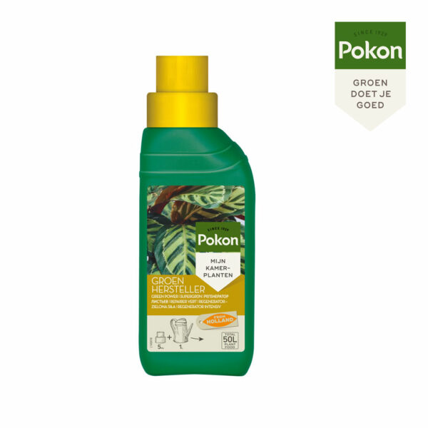 Cumpărați Pokon Green Repairer 250ml