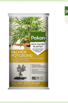 Pokon philodendron palm ele'ele