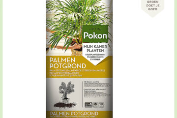 Pokon philodendron palm potgrond