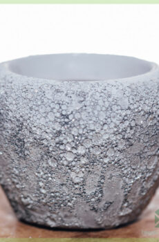 Tuku pot tanduran Fandral pot hiasan pot kembang 6 cm