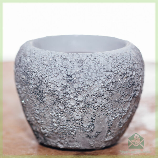 Buy Fandral plant pot decorative pot flower pot 6 cm