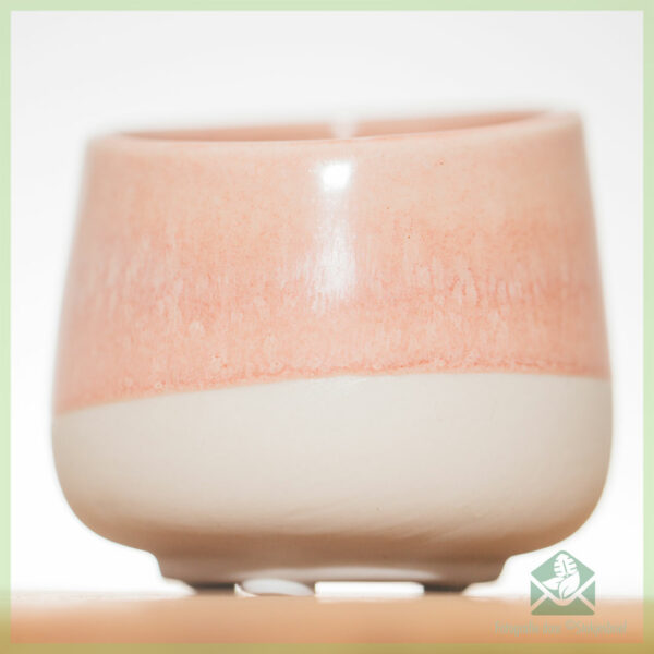 Dawn bloempot sierpot 6 cm