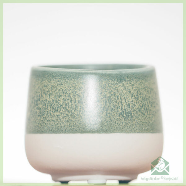 Lyca bloempot sierpot 6 cm