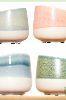 系列-adonis-dawn-legiana-lyca-flowerpot-decorative pot-4-pcs