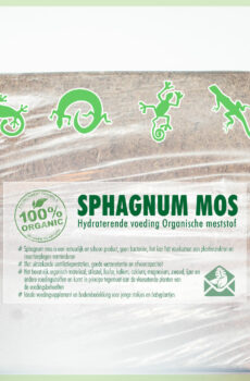 Sphagnum spagnum mos voor terrariums reptielen amfibieen kopen