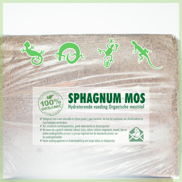 Fa'atau Sphagnum spagnum moss mo terrariums reptiles amphibians