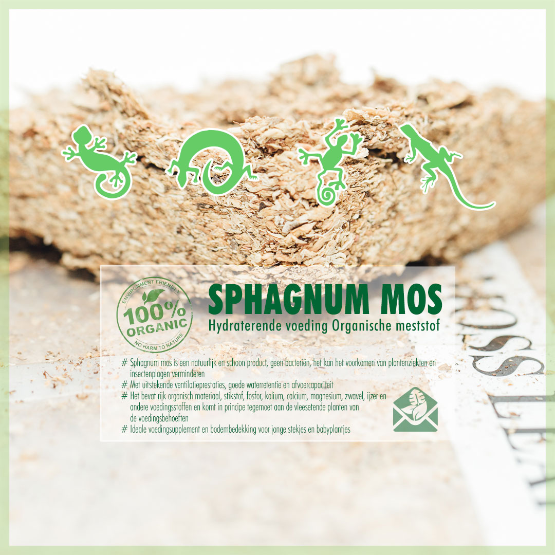 Sphagnum Peat Moss 250g - Terrarium Substrate for Amphibians or