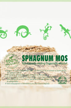 Prodám Sphagnum spagnum mech pro terária plazy obojživelníky