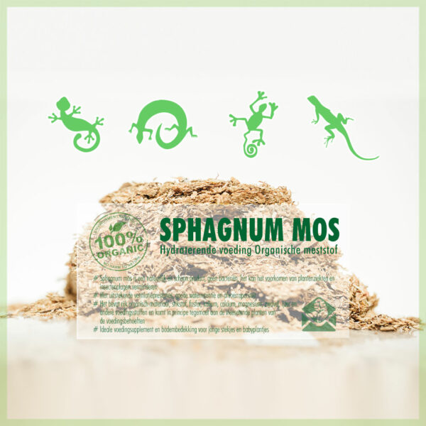 Pirkite Sphagnum spagnum samanas terariumams ropliams varliagyviams