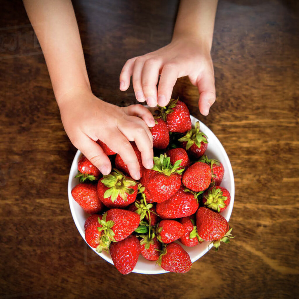 Keapje Strawberries Ostara (perennial) woartele stekken