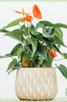 Heimdall plantenpot bloempot sierpot 12 cm