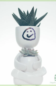 Happy-man cache-pot pot de fleurs pot décoratif 6 cm et 3 cm