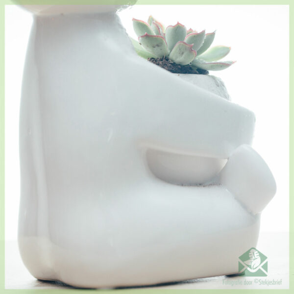 Happy-man plantenpot bloempot sierpot 6 cm en 3 cm