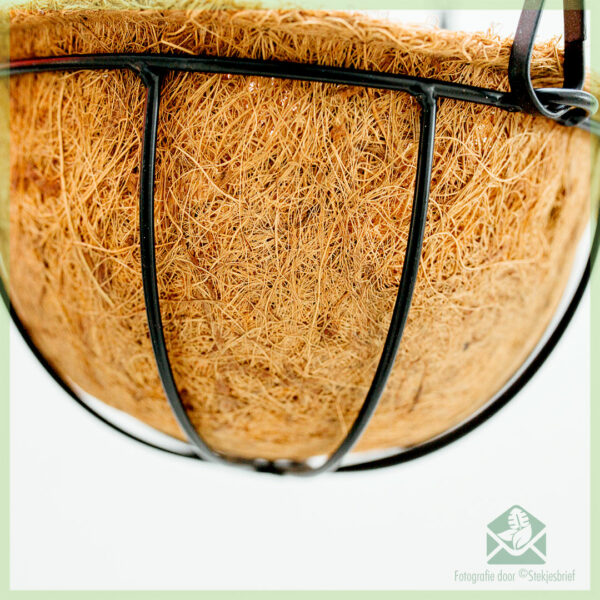 coconut coco eco hanging basket - coir hanging basket