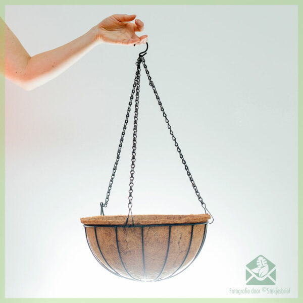 coconut coco eco hanging basket - coir hanging basket