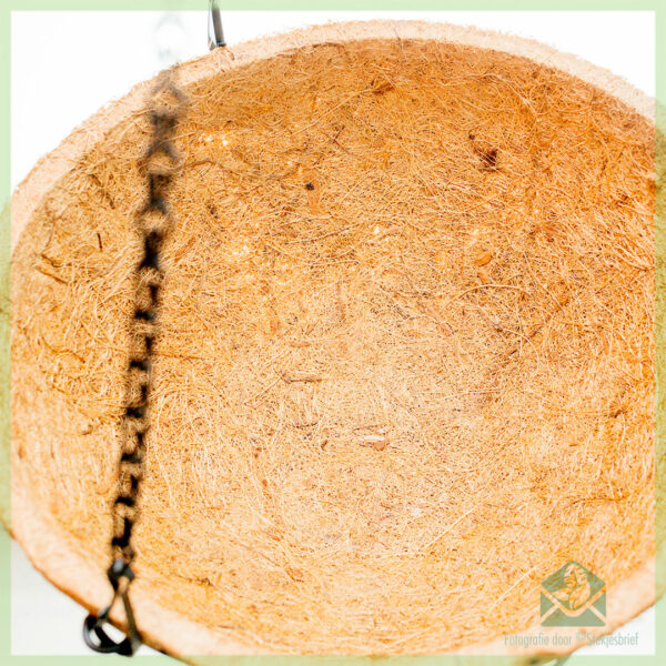 coconut coco eco hanging basket - coir hanging basket