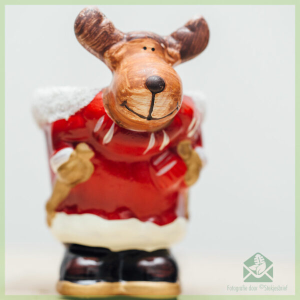 Rudolf kerstpot plantenpot bloempot sierpot 6 cm