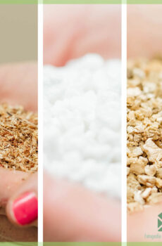 Campuran potong - dhasar - sphagnum lumut, perlite lan vermiculite