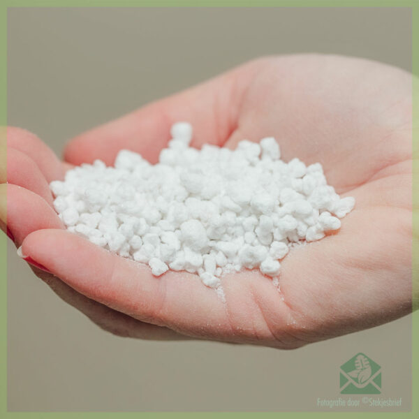 Snijmix - premium - sphagnum moas, perlite en hydrokorrels