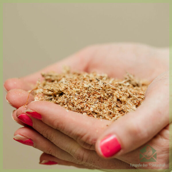 Mélange de coupe - starter - sphaigne, perlite, vermiculite et terreau