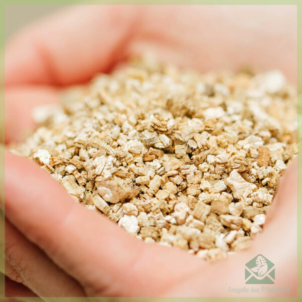 Cutting mix - starter - sphagnum moas, perlite, vermiculite en potting boaiem