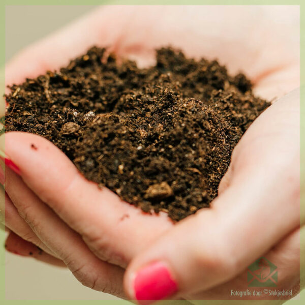 Schneidmëschung - Starter - Sphagnum Moos, Perlit, Vermiculite a Potting Buedem