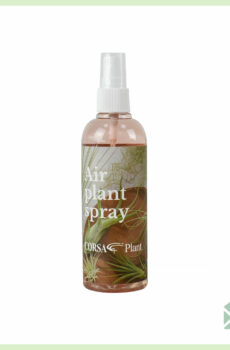 Tillandsia soins soins nutrition acheter power spray