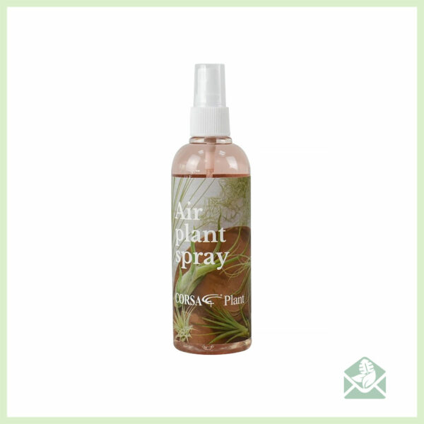 Tillandsia verzorgen care nutrition powerspray kopen